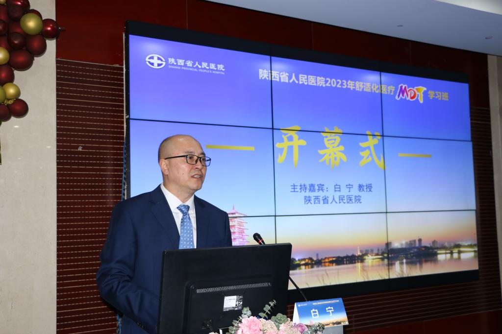 白宁主持