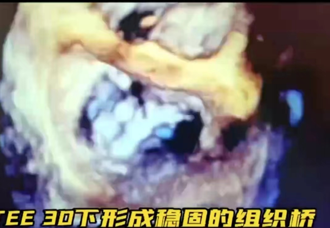 图4.jpg