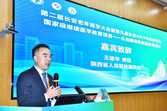 图片11 图片11