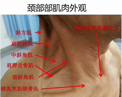 微信截图_20220715164340